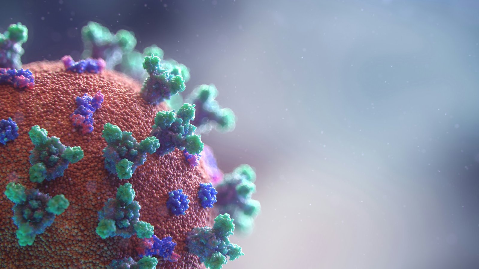Coronavirus pandemic