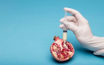 The Silent Toxins on Your Plate: Unveiling the Dark Truth of What You Eat